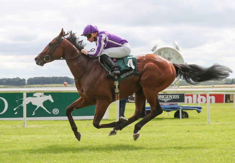 Little Big Bear (No Nay Never) winning the Gr.1 Phoenix Stakes at the Curragh