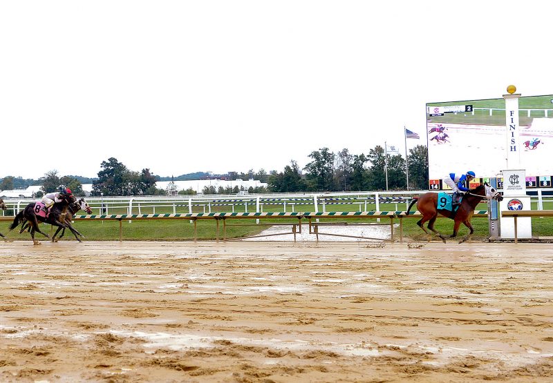 Lucidity (Mo Town) Wins Laurel MSW