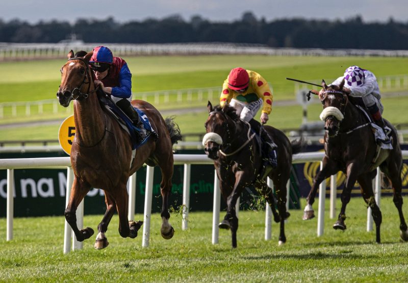 Luxembourg (Camelot) Impresses In The Group 2 Beresford Stakes at the Curragh