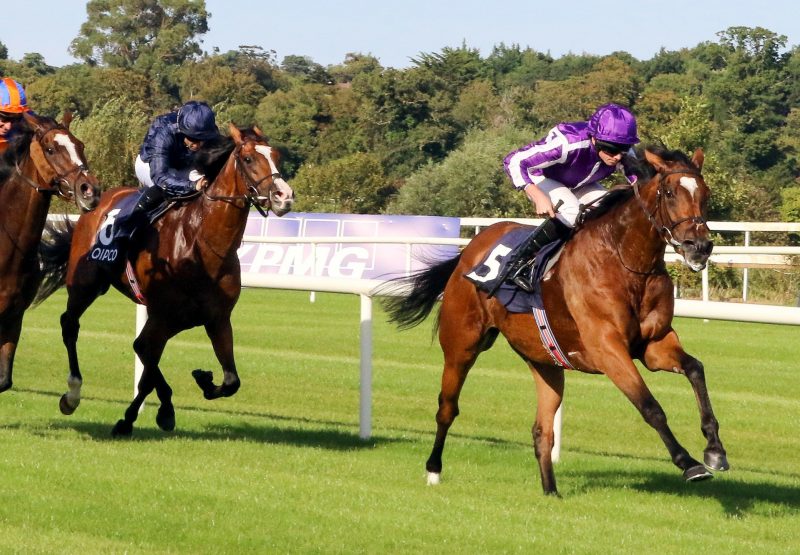 Magical (Galileo) Wins The Irish Champion Stakes at Leopardstown