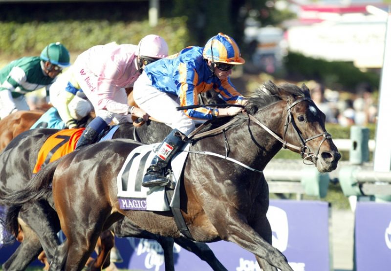 Magician (Galileo) winning the Breeders' Cup Turf