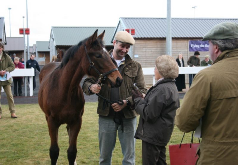 Mahler ex Acoola foal