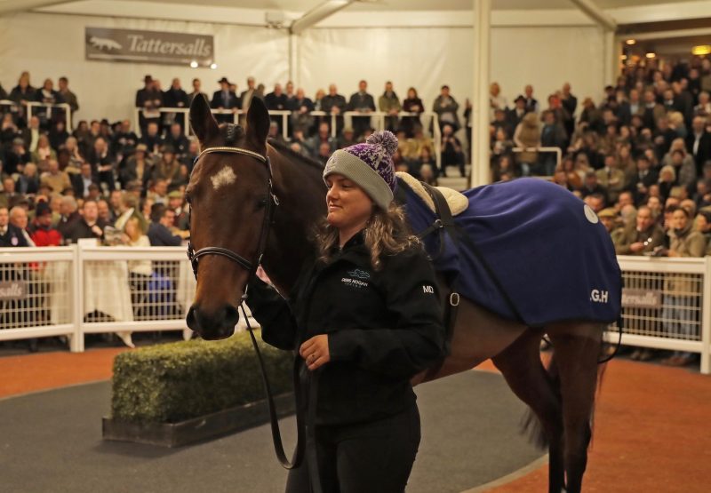 Mahons Way (Walk In The Park) Tops The Cheltenham November Sale