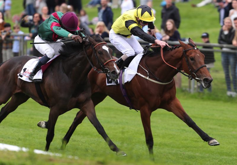 Coolmore Ireland News