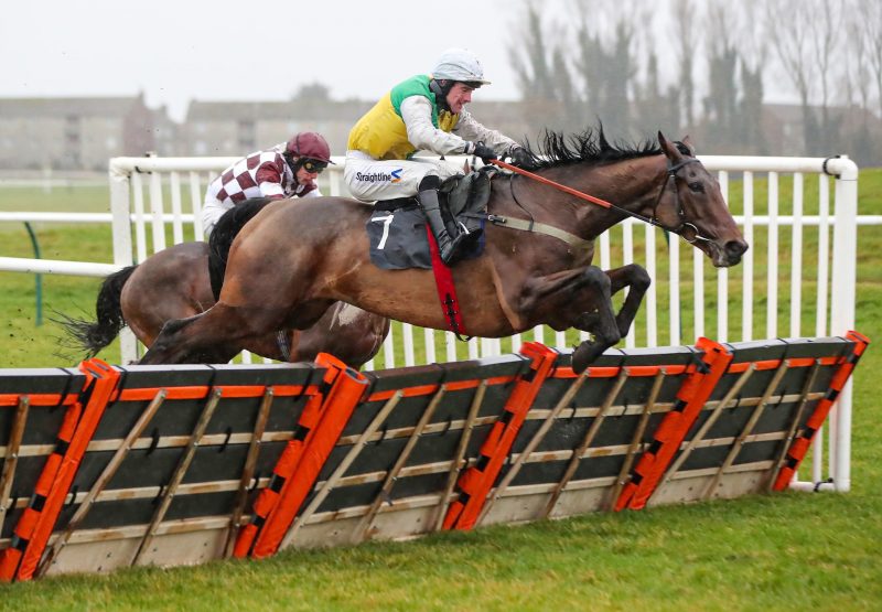 Marown (Milan) Wins His First Start Over Hurdles At Ayr