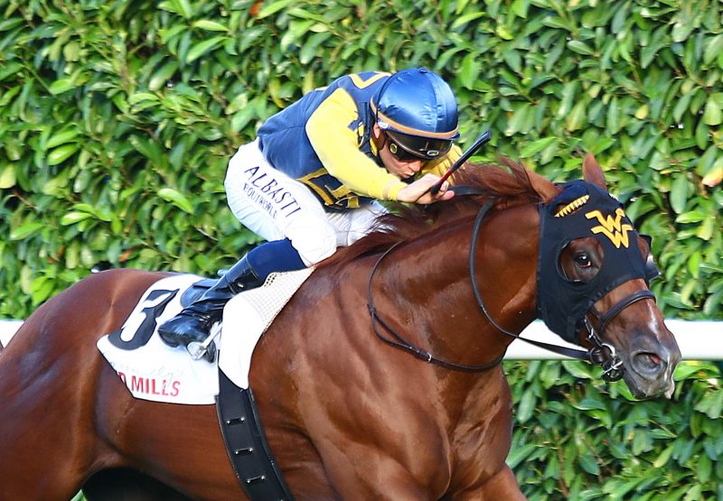 Maven (American Pharaoh) winning the Gr.3 Prix Du Bois at Chantilly