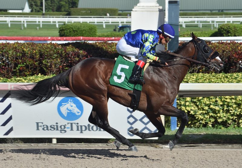 Miles Ahead Competitive Edge Winning At Gulfstream