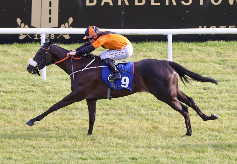 Miracle Nation (Sioux Nation) Wins Her Maiden at the Curragh