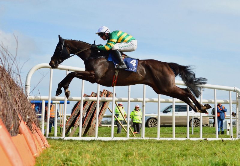 Mirazur West (Westerner) Wins The Grade 2 Novice Hurdle At Fairyhouse