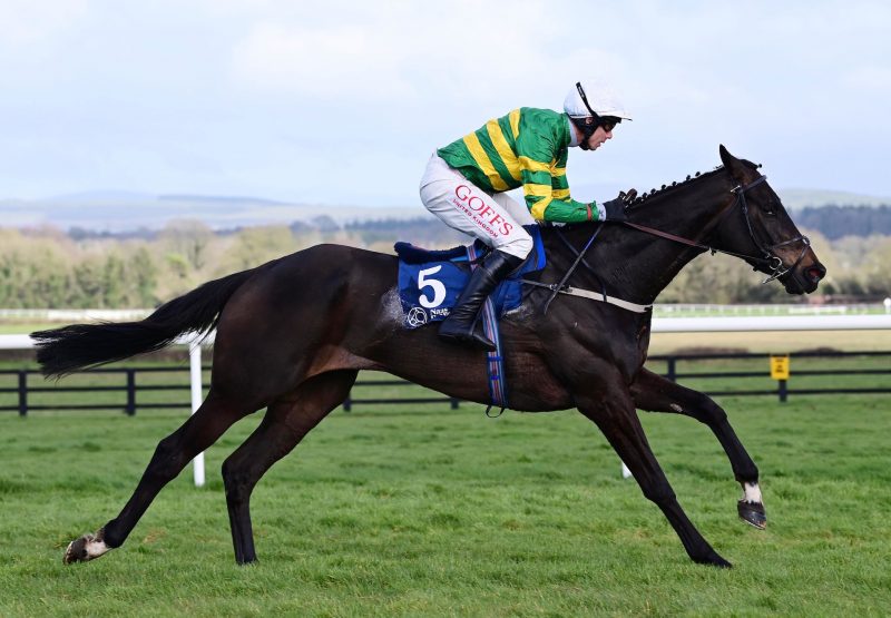 Mirazur West (Westerner) Wins The Bumper At Naas