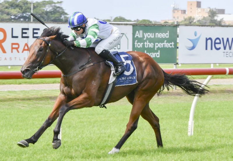 Miss Amore (Pierro) winning at Newcastle