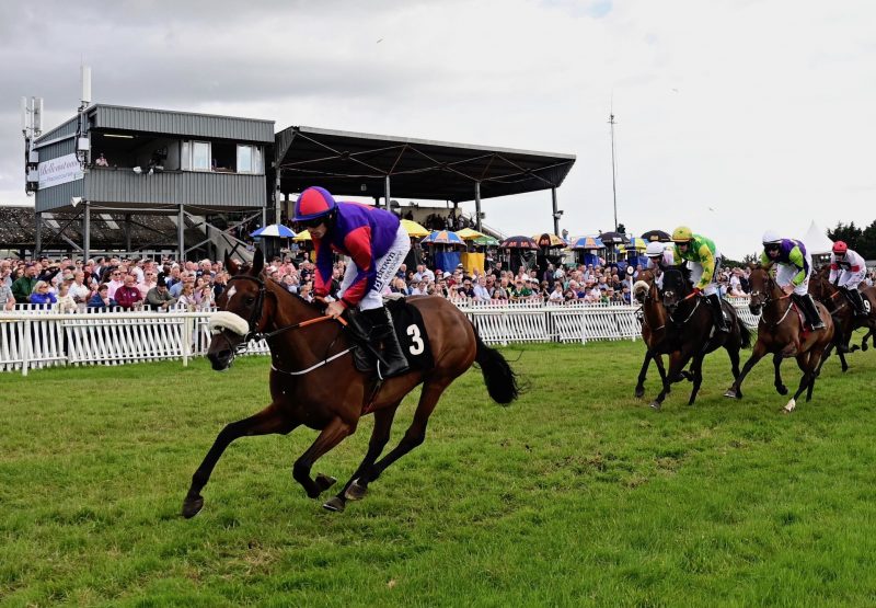 Miss Fourie (Yeats) Wins The Maiden Hurdle At Bellewstown