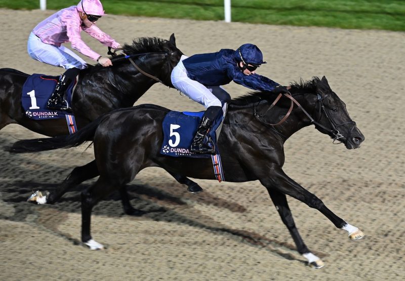 Mountain Bear (No Nay Never) Wins The Listed Star Appeal Stakes At Dundalk