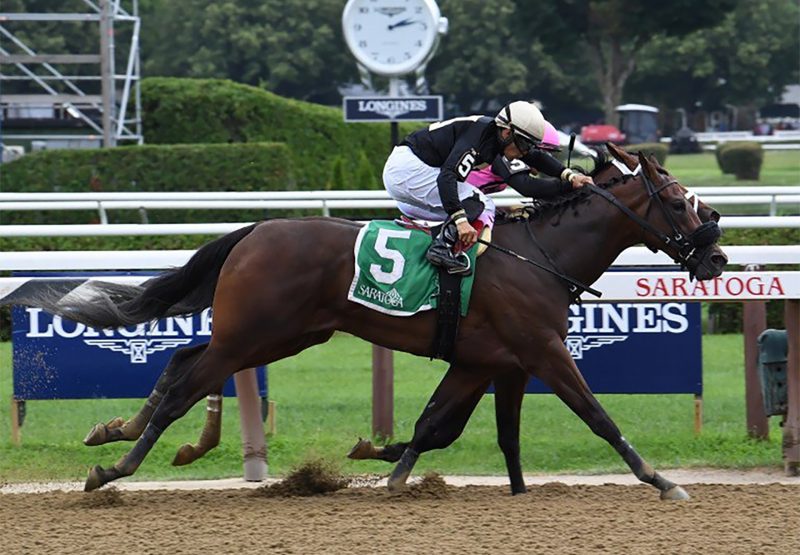 My Italian Rabbi (Competitive Edge) winning the Stillwater Stakes at Saratoga