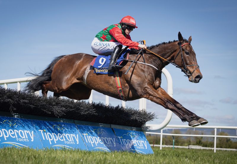 Nas Na Riogh (Walk in the Park) Wins The Maiden Hurdle At Tipperary