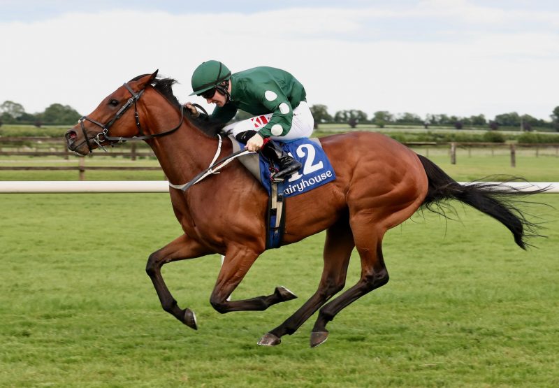 National Lady (Magna Grecia) Wins Her Maiden At Fairyhouse