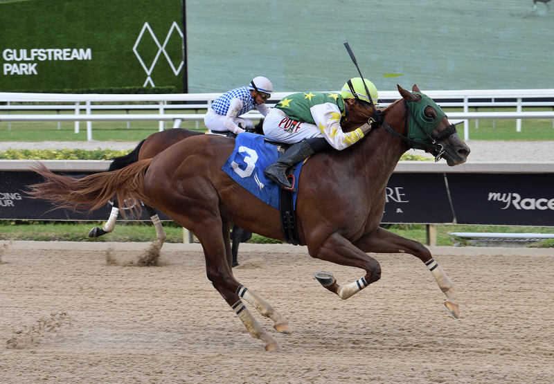 Nothingsubtle Echo Town Wins Gulfstream Msw