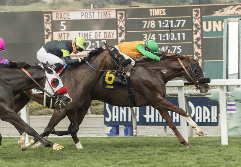 Om (Munnings) winning the G3 Thunder Road Stakes at Santa Anita