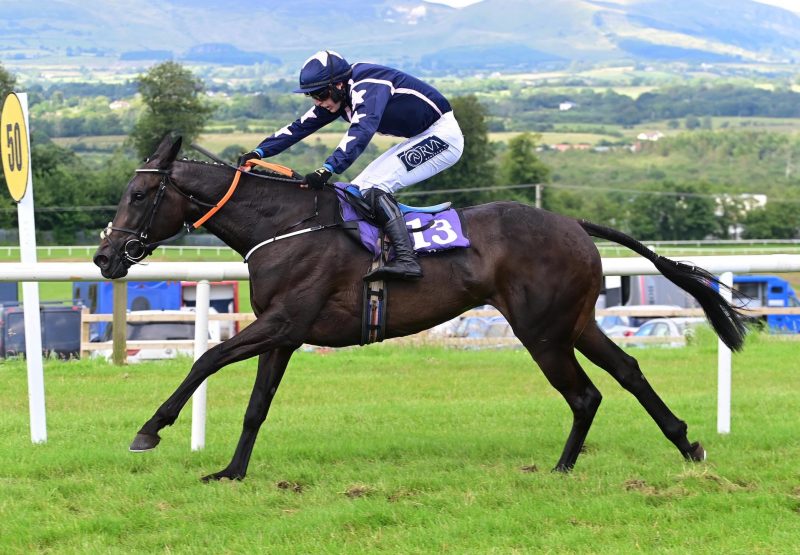 On The Sixth Day (Westerner) Wins The Bumper At Sligo