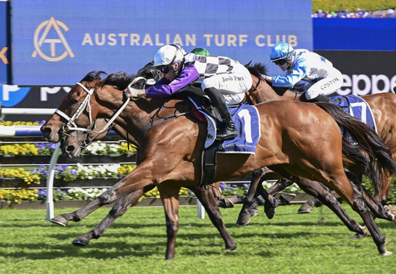 Osipenko pierro Little Dance 750