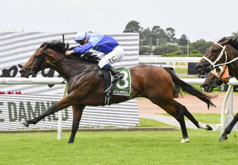 Pajanti (Pierro) winning at Rosehill