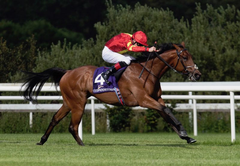 Patrick Sarsfield (Australia) Wins The Gr.3 Meld Stakes at Leopardstown