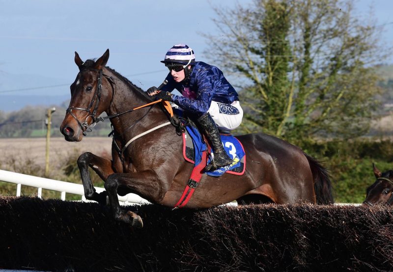 Patter Merchant (Walk In The Park) Wins The 4YO Maiden At Dromahane