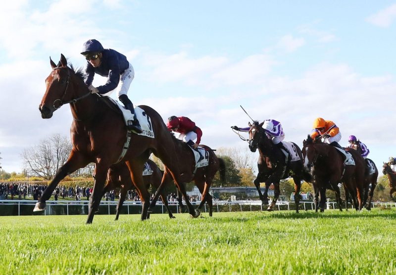 Pierre Bonnard Camelot