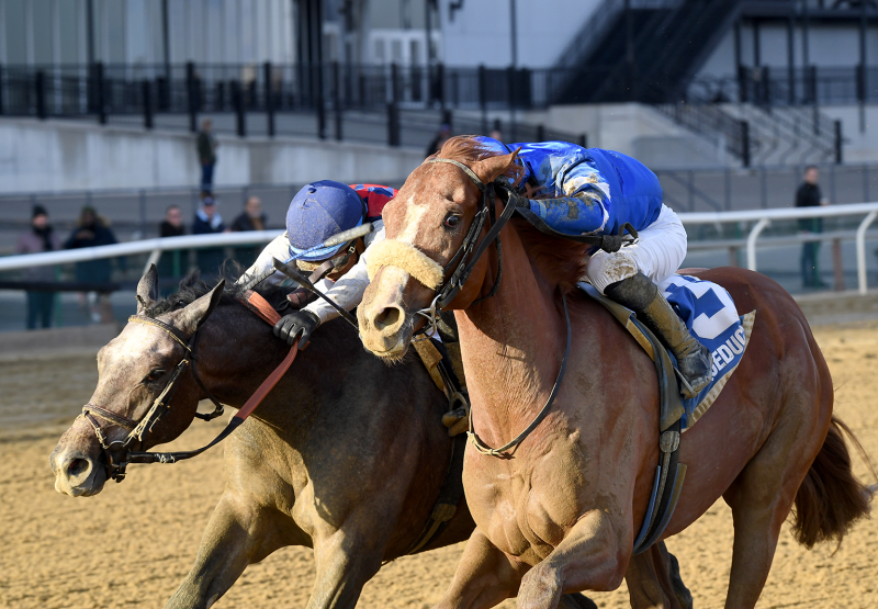 Poster (Munnings) Wins Gr 2 Remsen