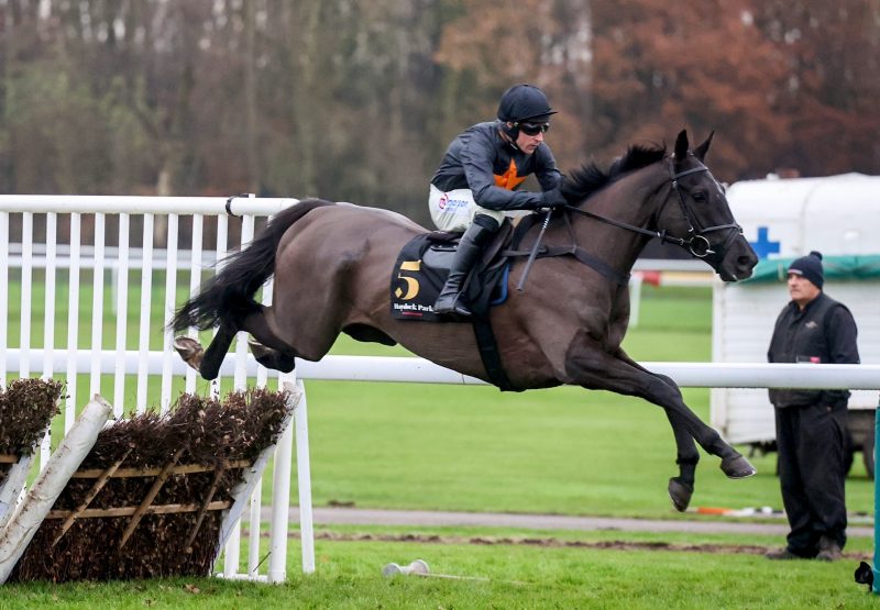 Royal Infantry (Soldier Of Fortune) Impresses At Haydock