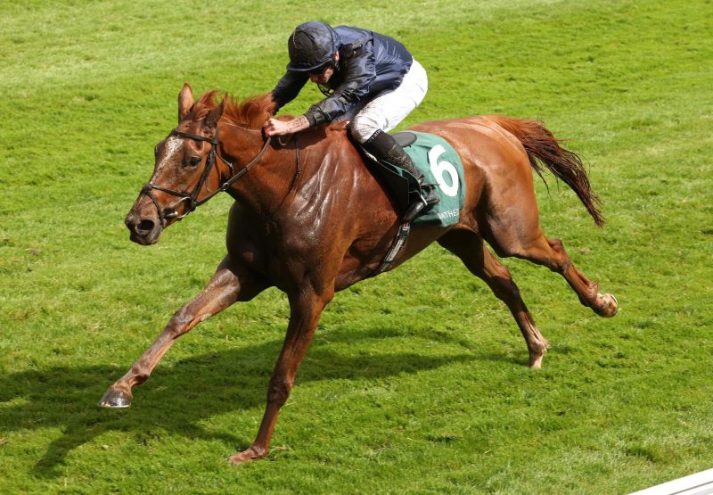 Savethelastdance (Galileo) Wins The Cheshire Oaks at Chester