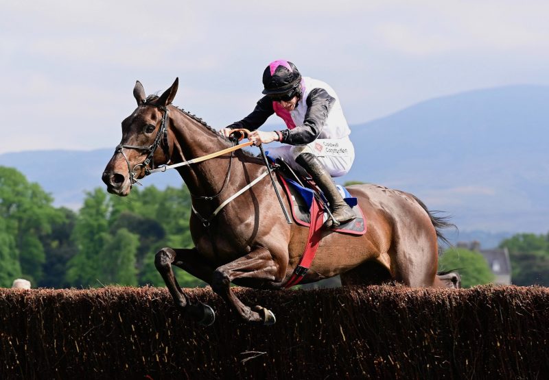 Say Goodbye (Getaway) Wins The Mares Beginners Chase At Killarney