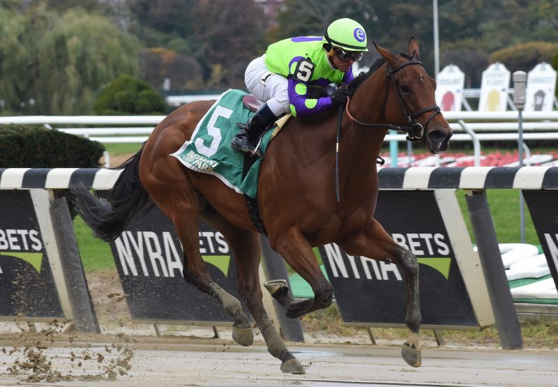 Seek And Destroy (Verrazano) winning the Chelsey Flower Stakes at Belmont Park