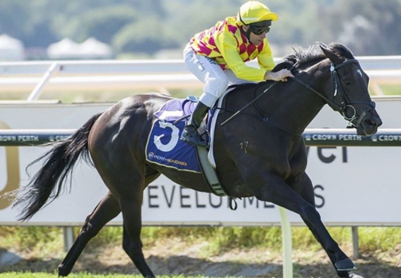 Sheidel (Holy Roman Emperor) winning the Listed WATC RS Crawford Stakes at Ascot