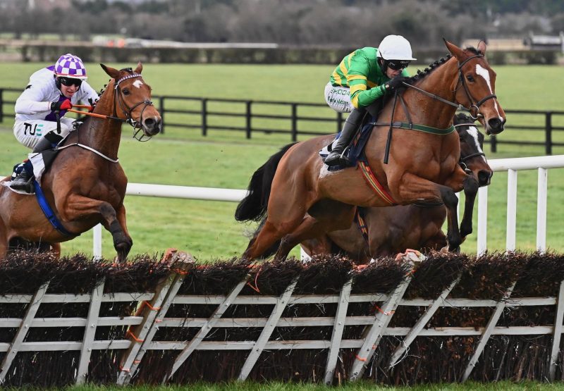 Shuffle The Deck (Walk In The Park)  Wins The Maiden Hurdle At Naas