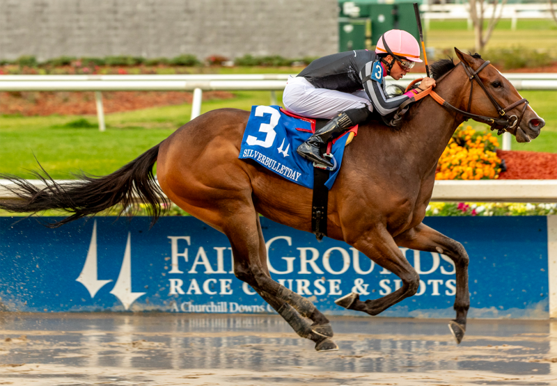 Simply Joking (Practical Joke) Wins Silverbulletday