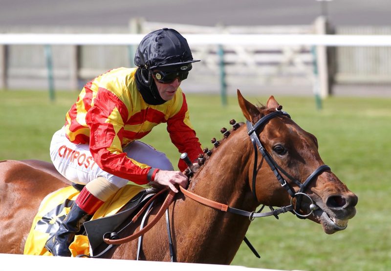Sir Ron Priestley (Australia) Wins The Group 2 Jockey Club Stakes at Newmarket