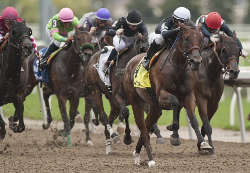 Skygaze (American Pharoah) Winning the Belle Mahone Stakes At Woodbine