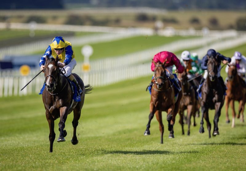 Small Oasis (Sioux Nation) Impresses At The Curragh