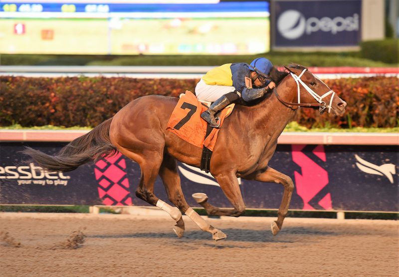 Soldado (Verrazano) winning a MSW winner at Gulfstream Park