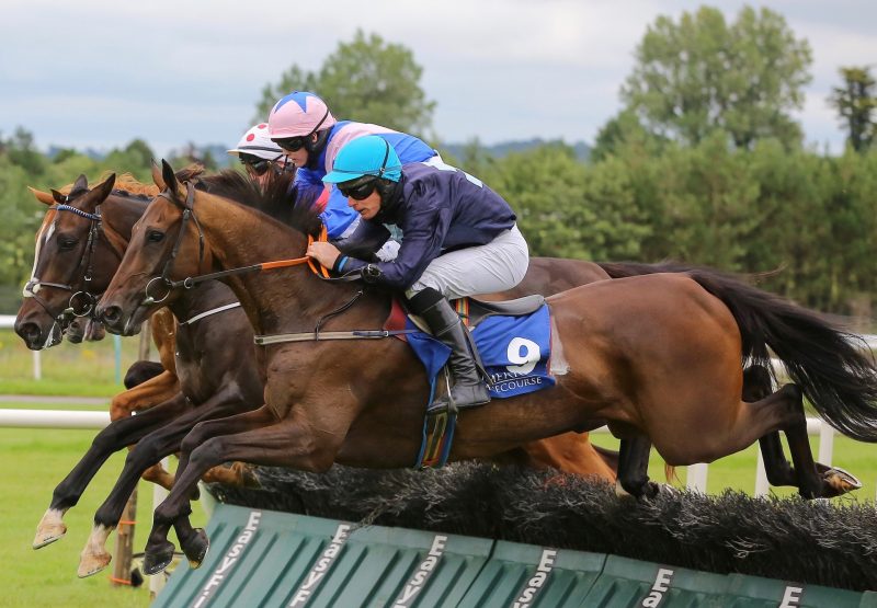 Some Spin (Getaway) winning over hurdles at Limerick