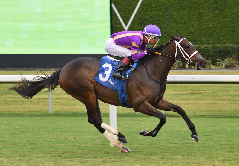 Spirit Doll Tiz The Law Our Dear Peggy Credit Lauren King