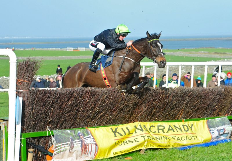 Star Gate (Imperial Monarch) Wins The 4 Yo Maiden At Belharbour