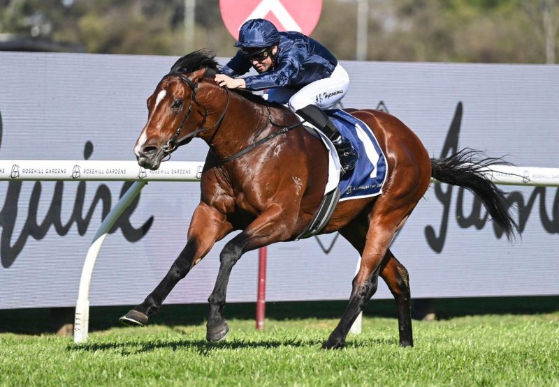 Storm Boy San Domenico Stakes