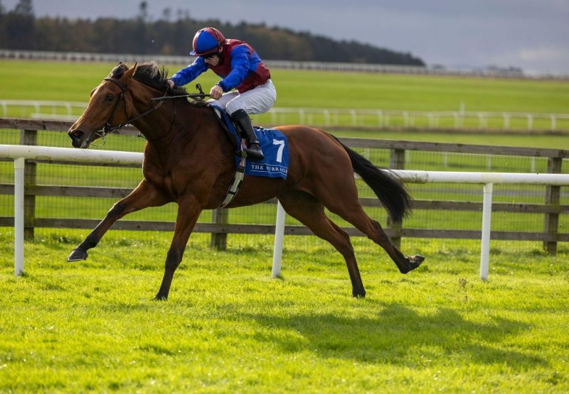 Sugar Island Curragh