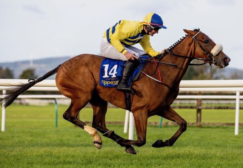Switch From Diesel Wins The Fillies Bumper At Tipperary 1