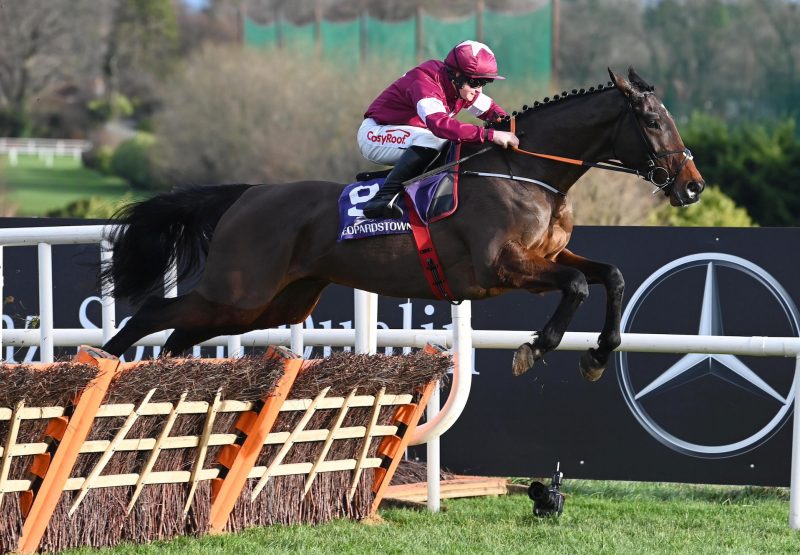 The Enabler(Walk In The Park) Wins The Maiden Hurdle At Leopardstown