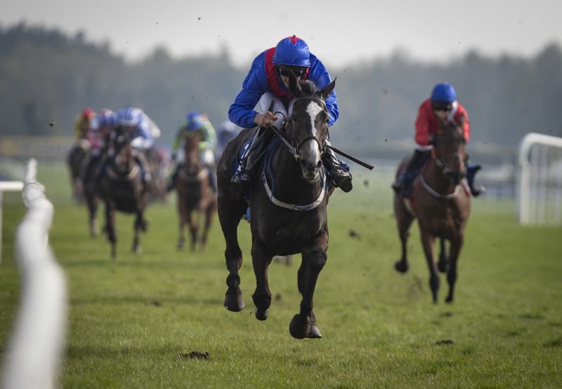 The Getaway Star (Getaway) Impresses On Debut at Fairyhouse