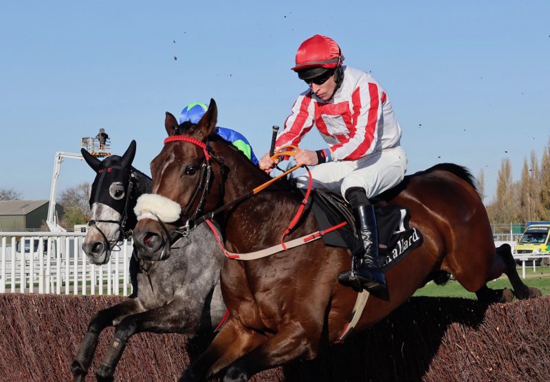 The Real Whacker (Mahler) Wins The Novices Chase At Cheltenham