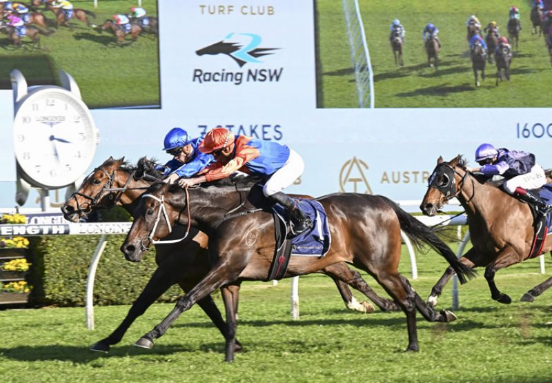 Think It Over (So You Think) winning the ATC Channel Seven Stakes at Randwick